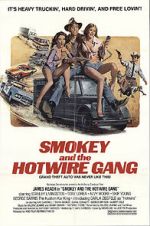 Watch Smokey and the Hotwire Gang Vodly