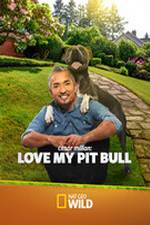 Watch Cesar Millan: Love My Pit Bull Vodly