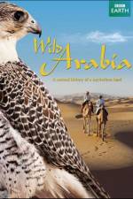 Watch Wild Arabia Vodly