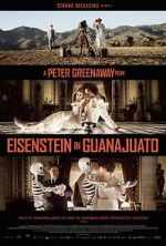 Watch Eisenstein in Guanajuato Vodly