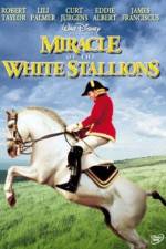 Watch Miracle of the White Stallions Vodly