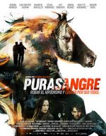 Watch Purasangre Vodly