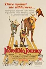 Watch The Incredible Journey Vodly