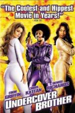 Watch Undercover Brother Vodly