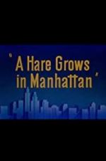 Watch A Hare Grows in Manhattan Vodly