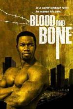 Watch Blood and Bone Vodly