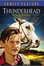 Watch Thunderhead - Son of Flicka Vodly