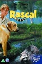 Watch Rascal Vodly