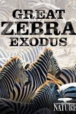 Watch Nature: Great Zebra Exodus Vodly