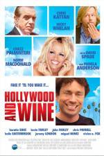 Watch Hollywood & Wine Vodly