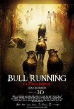 Watch Encierro 3D: Bull Running in Pamplona Vodly