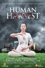 Watch Human Harvest Vodly