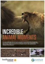 Watch Incredible Animal Moments Vodly