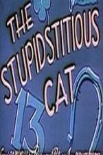 Watch Stupidstitious Cat Vodly