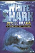 Watch National Geographic white shark:outside the cage Vodly