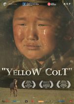 Watch Yellow Colt Vodly