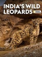 Watch India\'s Wild Leopards (Short 2020) Vodly