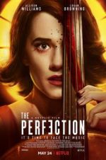 Watch The Perfection Vodly