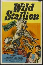 Watch Wild Stallion Vodly