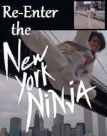 Watch Re-Enter the New York Ninja Vodly