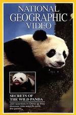 Watch Secrets of the Wild Panda Vodly