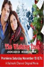 Watch The Wishing Tree Vodly