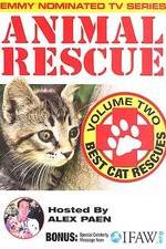 Watch Animal Rescue, Volume 2: Best Cat Rescues Vodly