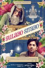 Watch Gulabo Sitabo Vodly