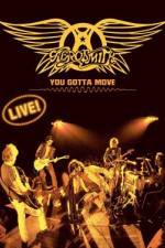 Watch Aerosmith You Gotta Move Vodly