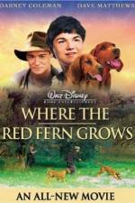 Watch Where the Red Fern Grows Vodly