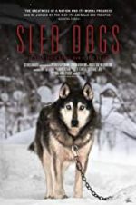 Watch Sled Dogs Vodly