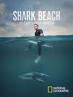 Watch Shark Beach with Chris Hemsworth (TV Special 2021) Vodly
