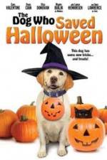 Watch The Dog Who Saved Halloween Vodly