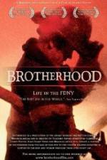 Watch Brotherhood Vodly