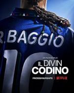 Watch Baggio: The Divine Ponytail Vodly