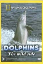 Watch Dolphins: The Wild Side Vodly