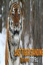 Watch Discovery Channel-Last Tiger Standing Vodly