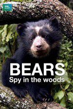 Watch Bears: Spy in the Woods Vodly