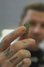 Watch Professor Green: Is It Time to Legalise Weed? Vodly