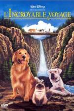 Watch Homeward Bound: The Incredible Journey Vodly