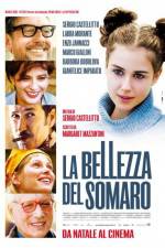 Watch La bellezza del somaro Vodly