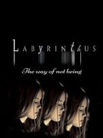 Watch Labyrinthus: The Way of Not Being Vodly