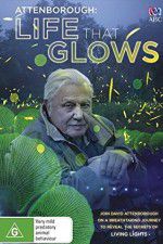 Watch Attenborough\'s Life That Glows Vodly