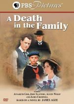 Watch A Death in the Family Vodly