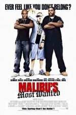 Watch Malibu's Most Wanted Vodly