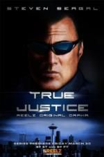 Watch True Justice: Brotherhood Vodly