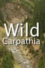 Watch Wild Carpathia Vodly