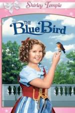 Watch The Blue Bird Vodly