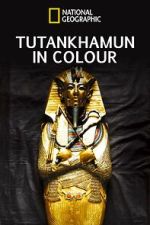 Watch King Tut in Color Vodly