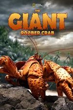 Watch The Giant Robber Crab Vodly